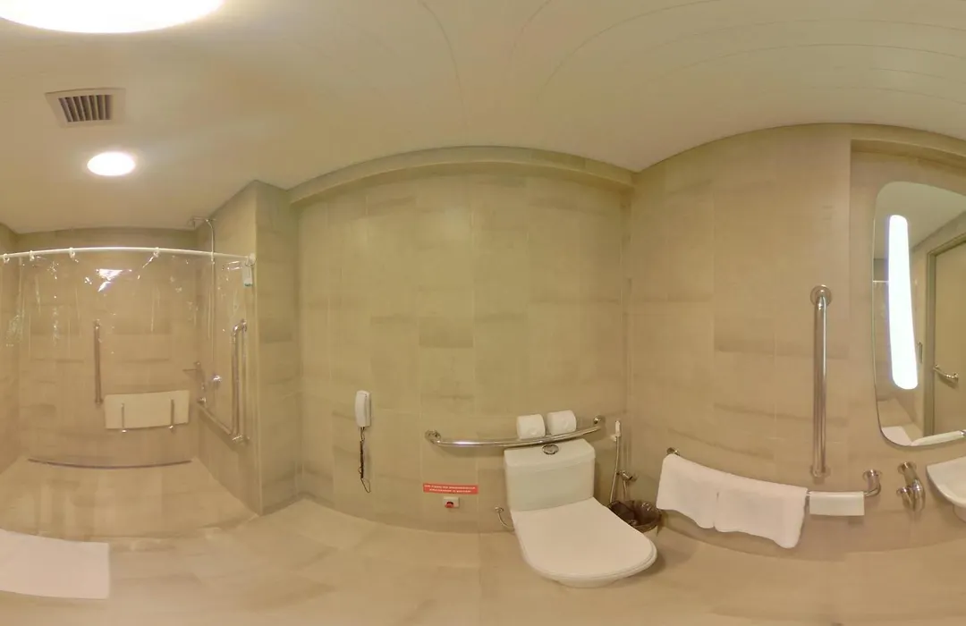 Ibis Natal-1